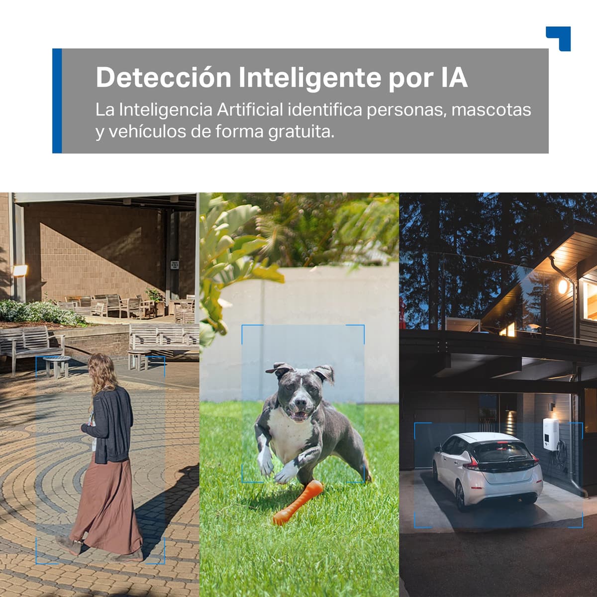 Tapo C520WS - Cámara Vigilancia Wi-Fi Exterior 360°, Resolución 2K QHD, Visión Nocturna en Color Starlight, Detección IA Múltiple, Seguimiento de Movimiento, IP66 — view 5