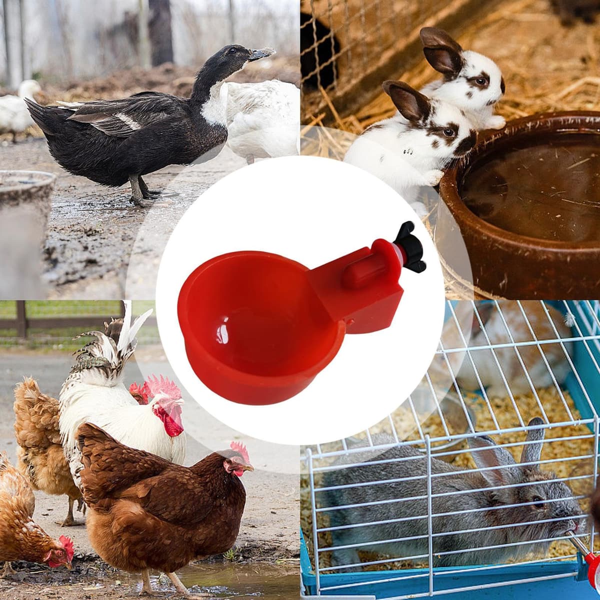 5 piezas tazas bebedoras de pollo - kit de alimentación acuática automática | sin herramientas Instale tazones de beber para pollo, patos, pájaros, pavos y más — view 2