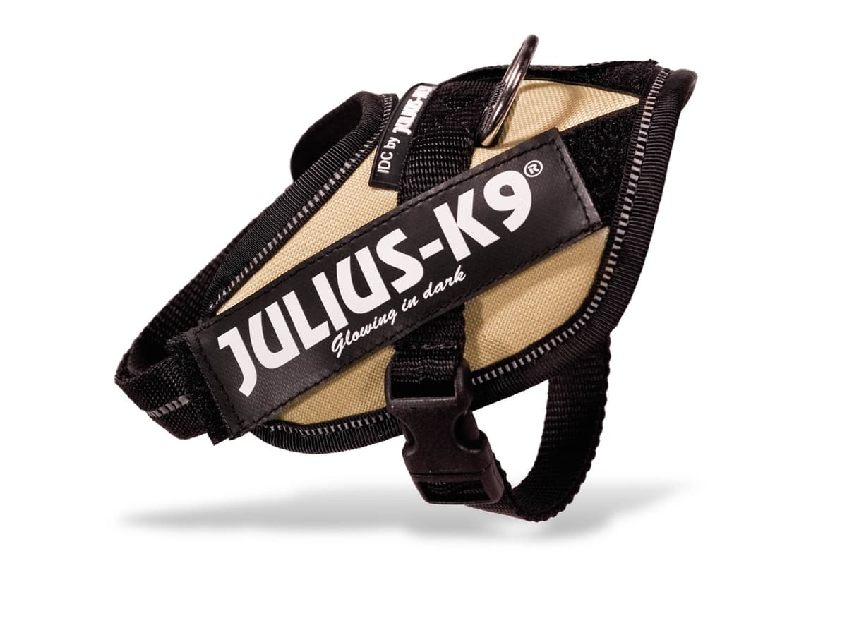 Julius-K9, 16IDC-AM-M, IDC Powerharness, dog harness, Size: Mini, Aquamarine — view 140