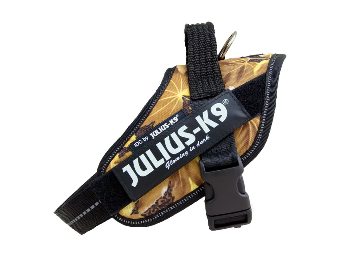 Julius-K9, 16IDC-AM-M, IDC Powerharness, dog harness, Size: Mini, Aquamarine — view 210
