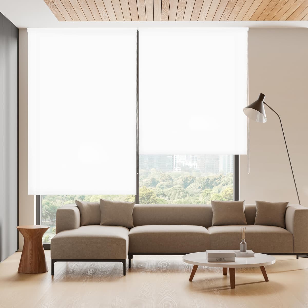 Blindecor Ara | Estor enrollable translúcido liso - Blanco Roto, 160 x 175 cm (ancho por alto) | Tamaño de la Tela 157 x 170 cm | Estores para ventanas — view 15