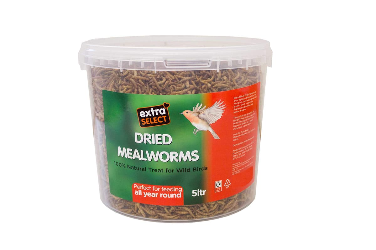 Extra Select Dried Mealworms for Wild Birds: Protein Rich Wild Bird Food for Robins and Wildlife - Meal Worms for Garden Birds - 500 ml — view 10