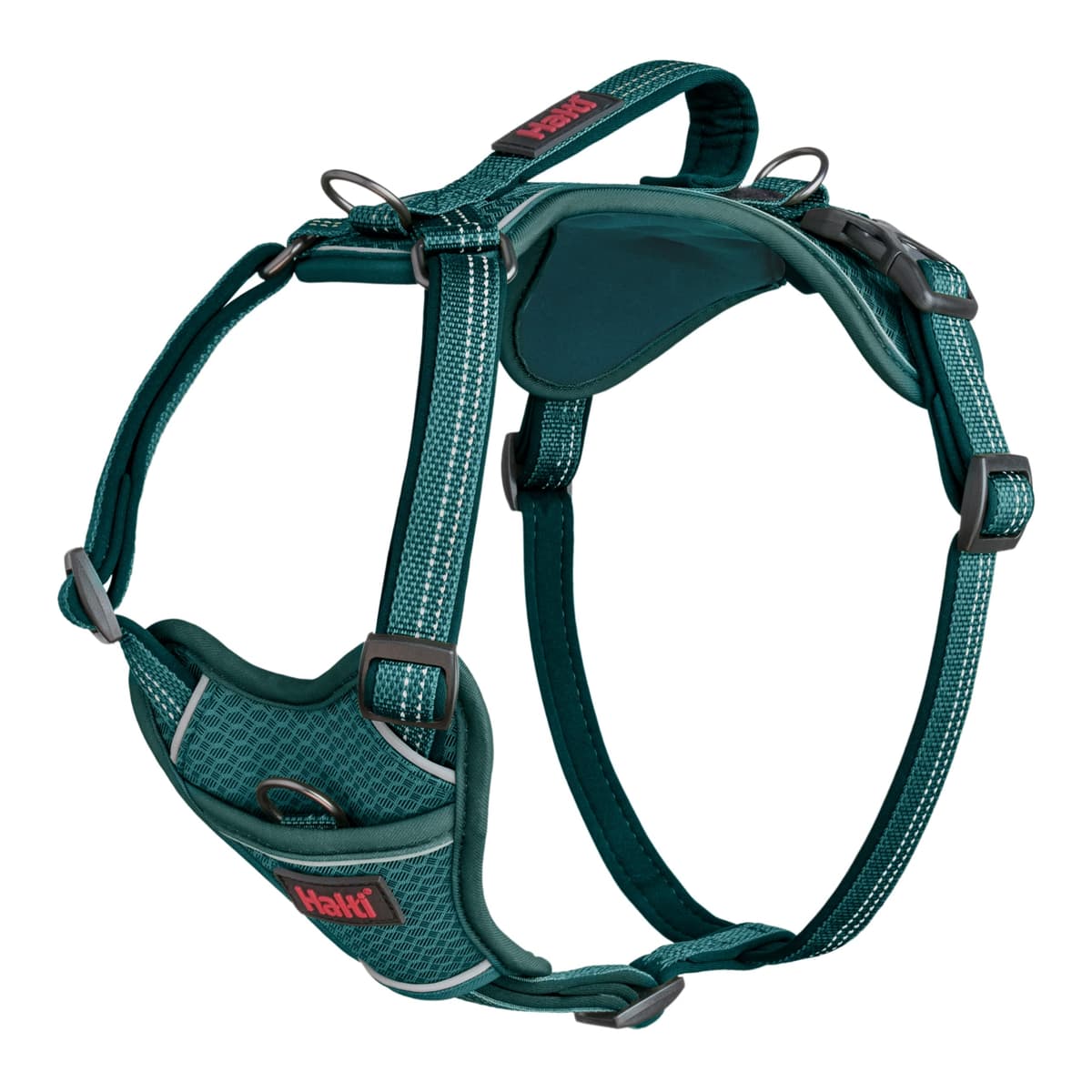 Arnés de perro HALTI Anatomy con asa - Proporciona libertad de movimiento a tu perro para que pasee cómodamente. 3 puntos de enganche y acolchado de neopreno y ajustable (Talla XS, Verde Azulado)
