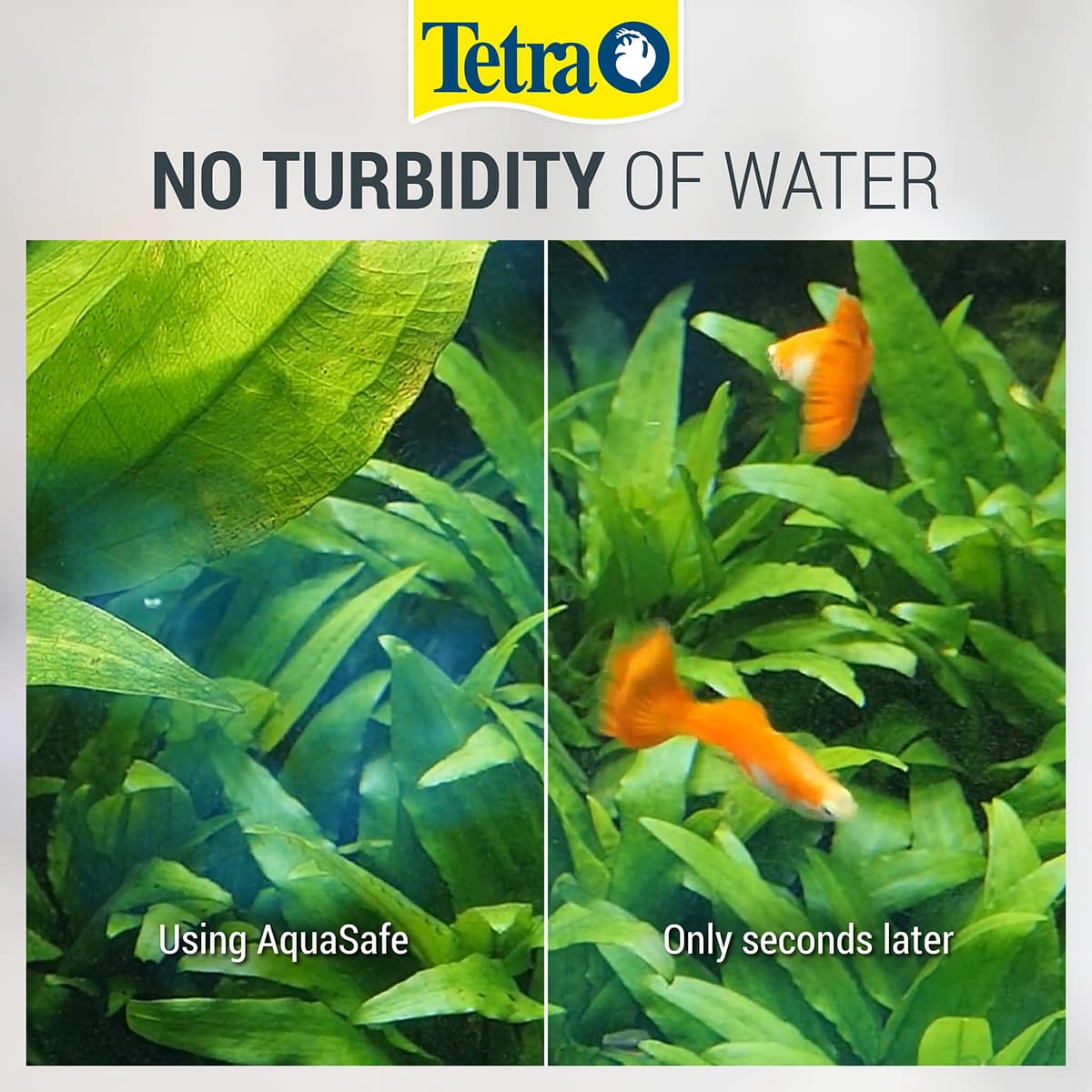 Tetra AquaSafe to Turn Tap Water into Safe and Healthy Water for Fish and Plants, 500 ml — view 4