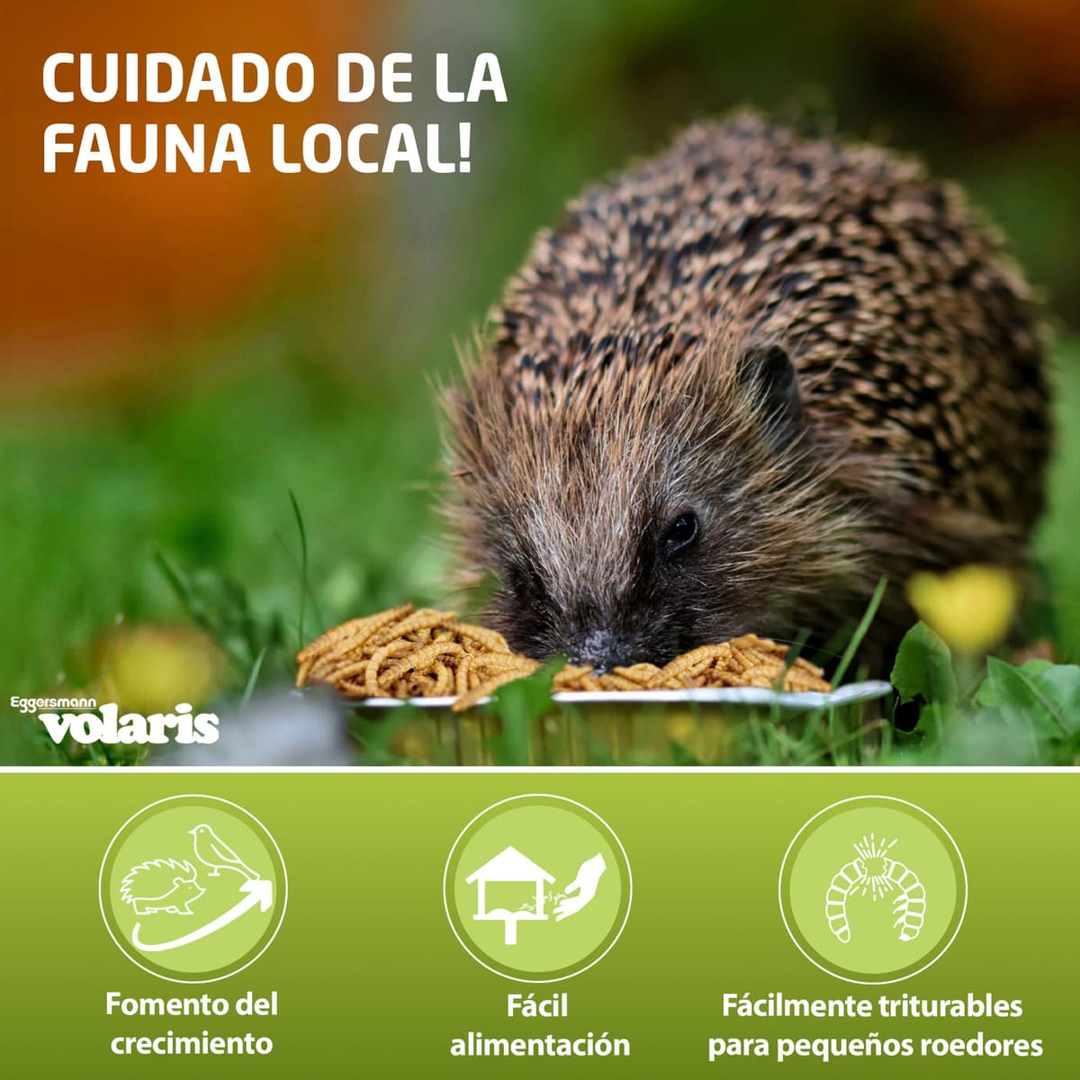 Eggersmann volaris 5 kg de gusanos de harina secos, ricos en proteínas y naturales, ideal para todos los animales domésticos, alimento para todo el año — view 2