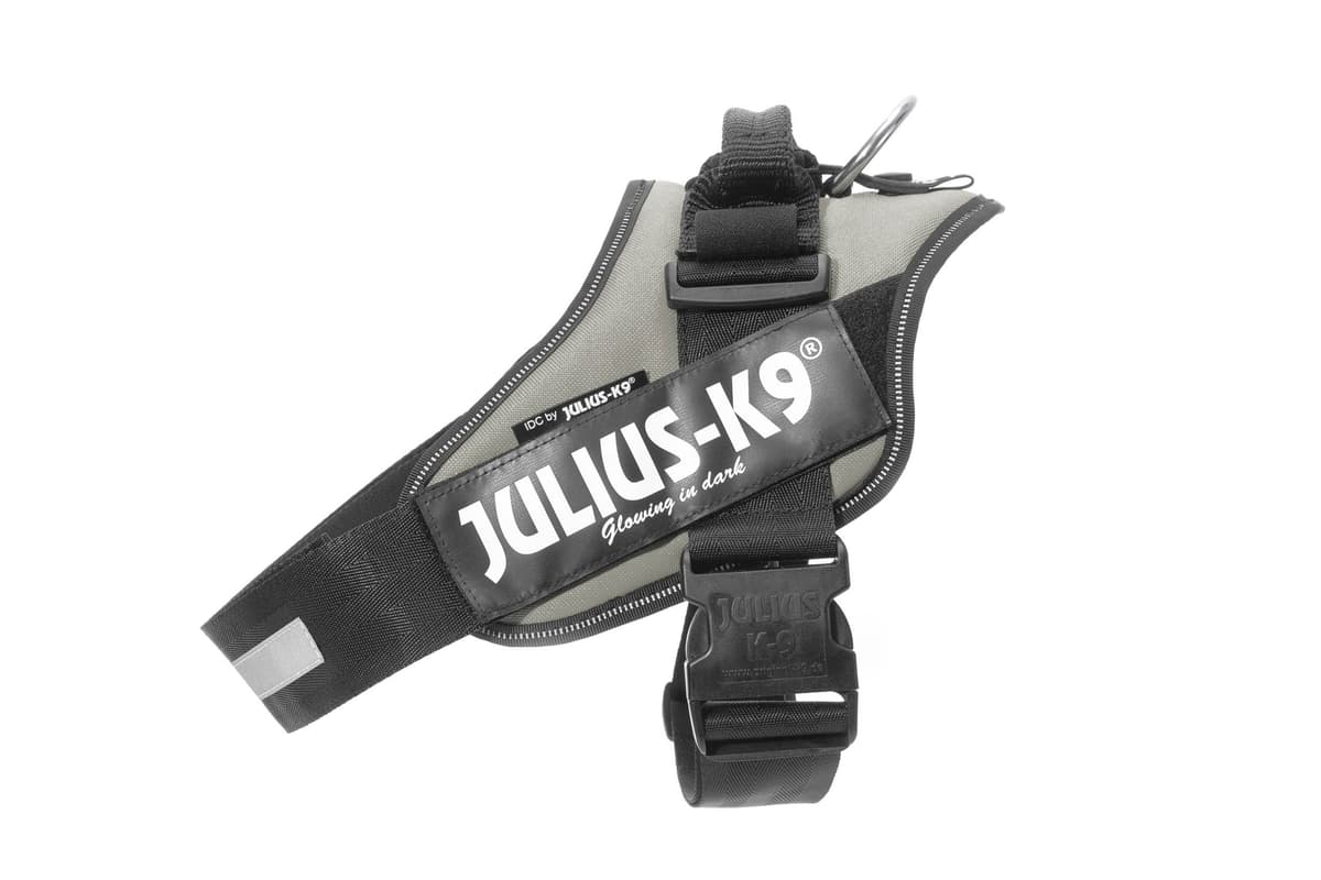 Julius-K9, 16IDC-AM-M, IDC Powerharness, dog harness, Size: Mini, Aquamarine — view 323