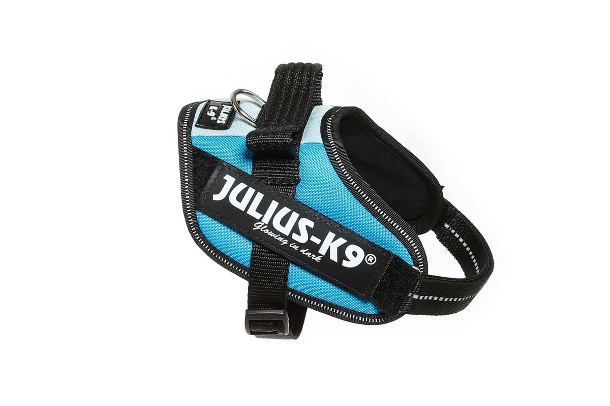 Julius-K9, 16IDC-AM-M, IDC Powerharness, dog harness, Size: Mini, Aquamarine — view 302