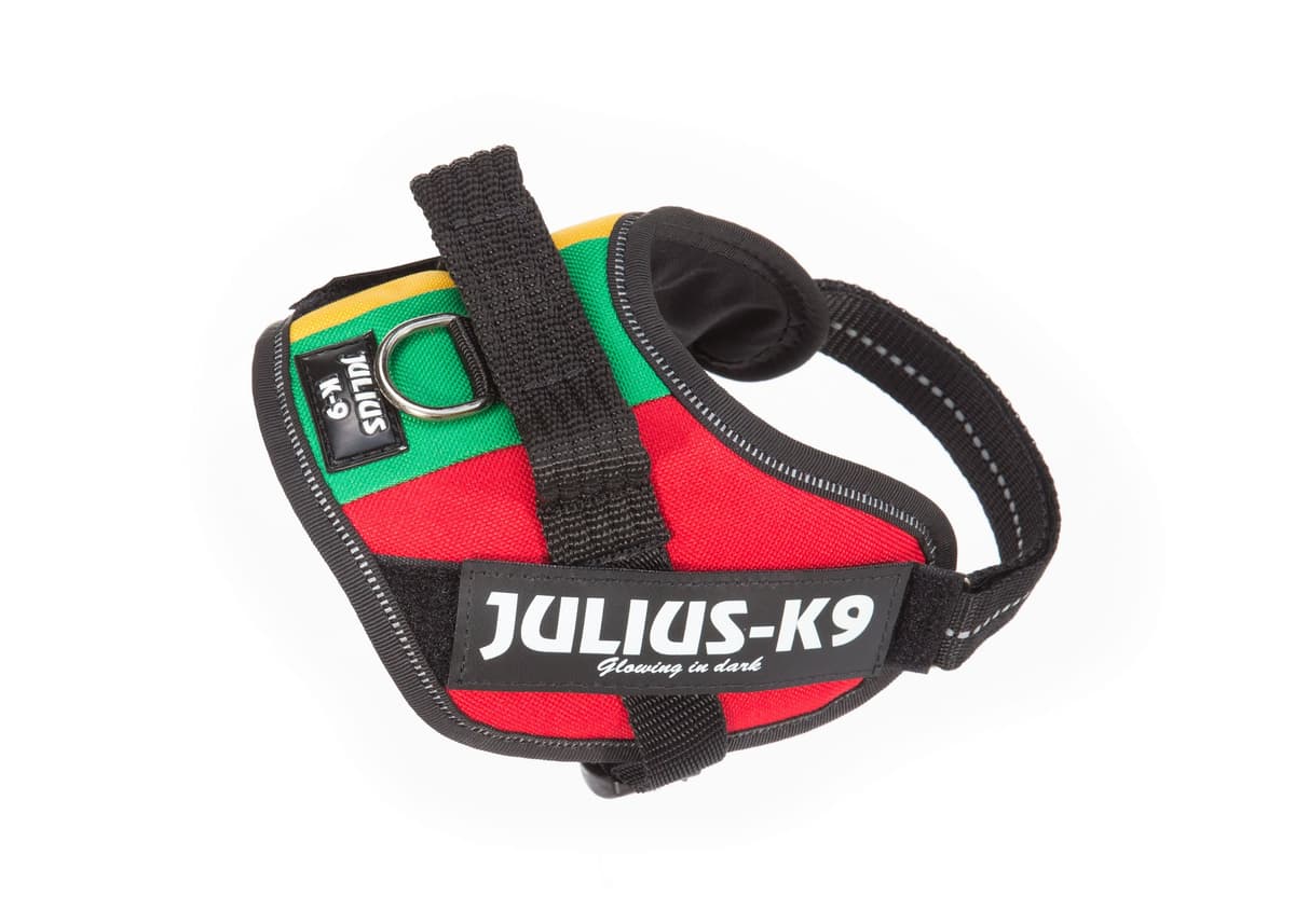 Julius-K9, 16IDC-AM-M, IDC Powerharness, dog harness, Size: Mini, Aquamarine — view 347
