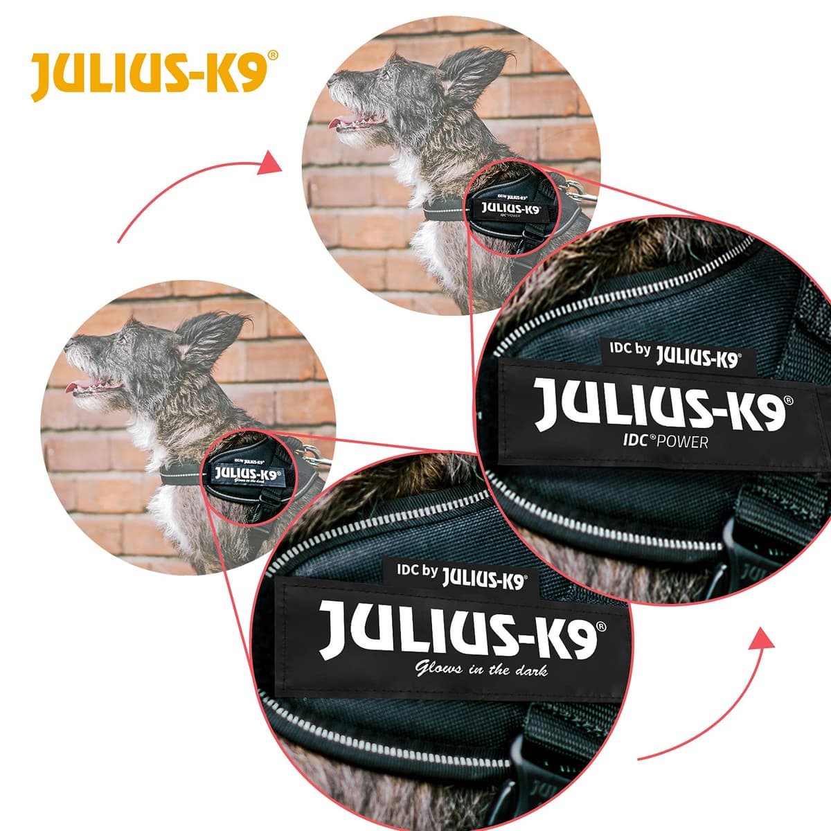 Julius-K9, 16IDC-AM-M, IDC Powerharness, dog harness, Size: Mini, Aquamarine — view 7