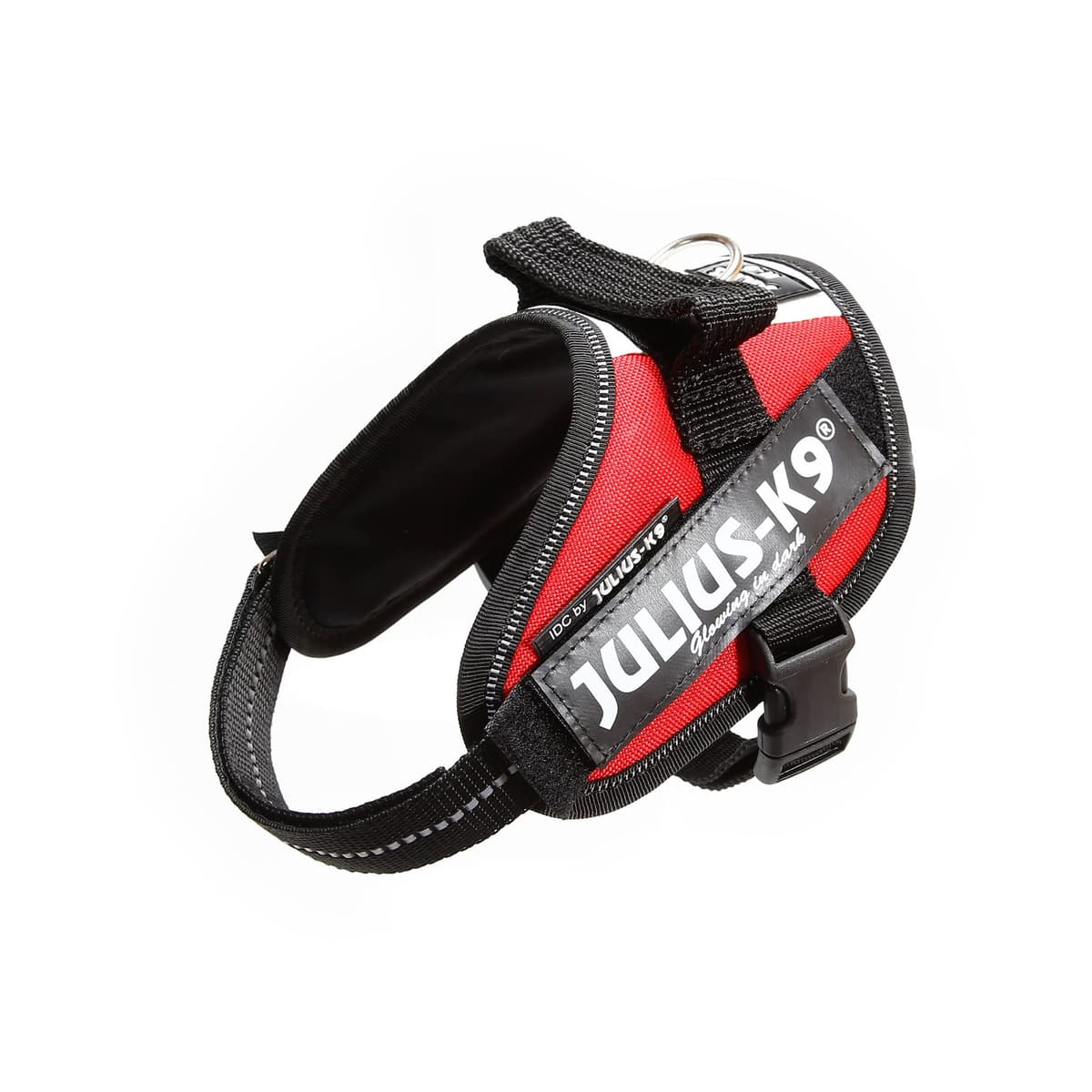 Julius-K9, 16IDC-AM-M, IDC Powerharness, dog harness, Size: Mini, Aquamarine — view 68