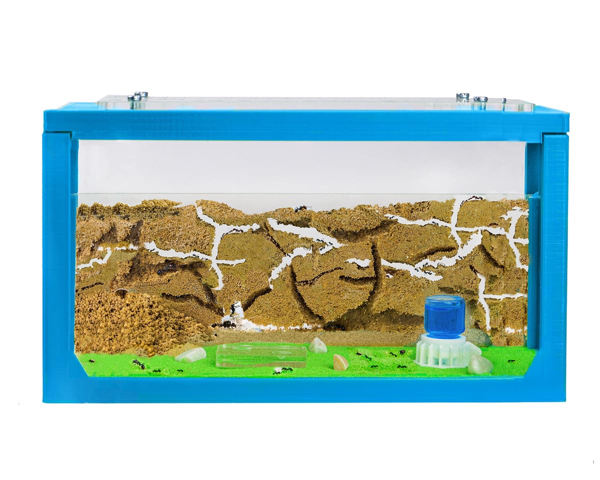Anthouse.es - Hormiguero Natural de Arena - Kit Inicio Acrílico 20x10x10 cm - Granja de Hormigas con Colonia de Hormigas, Arena, Piptea y Bebedero Incluido - Fácil Instalación — view 10