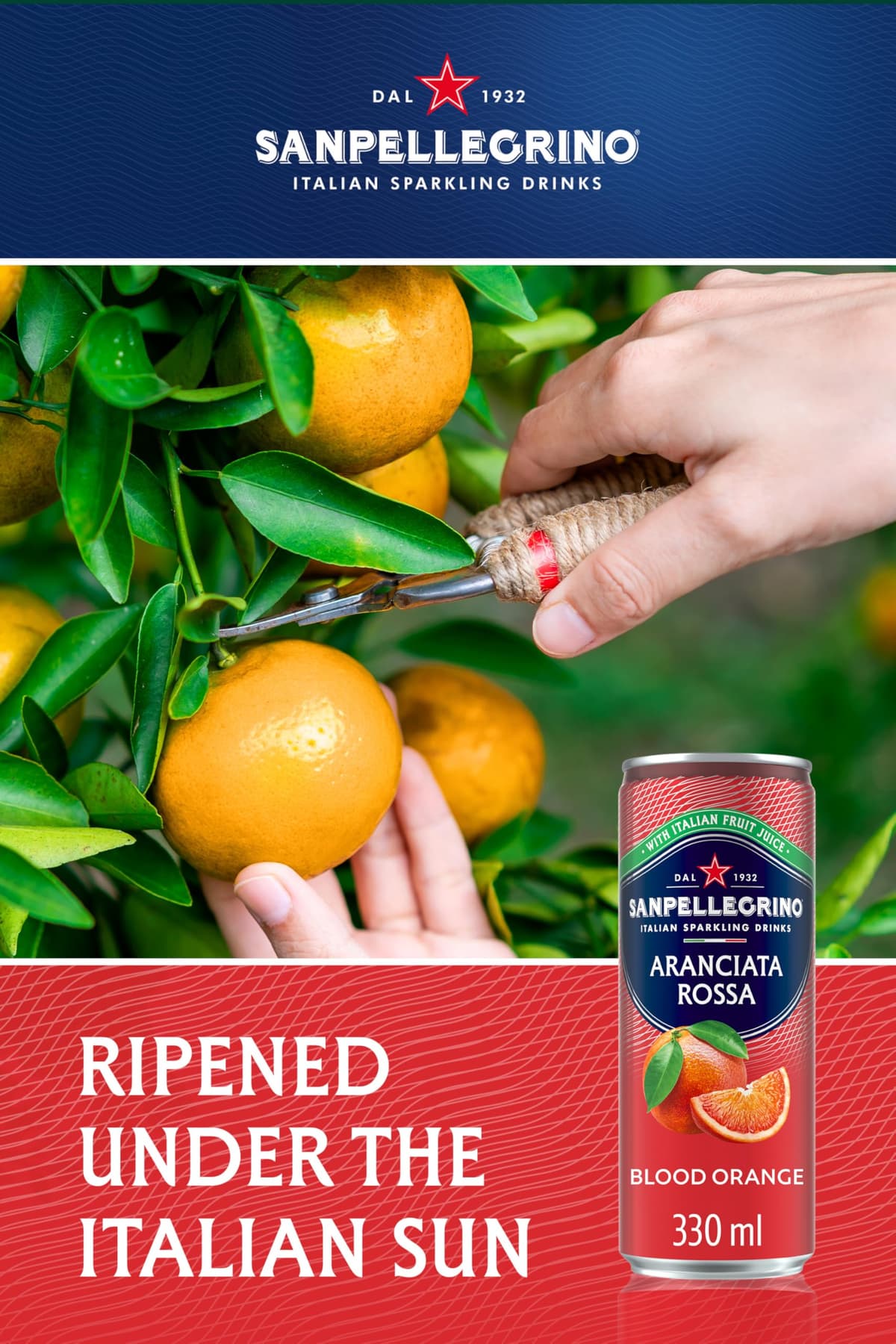 San Pellegrino Italian Sparkling Drinks Tastefully Light Sparkling Blood Orange Canned Soft Drink 12 x 330ml | 69 kCals per Can — view 3