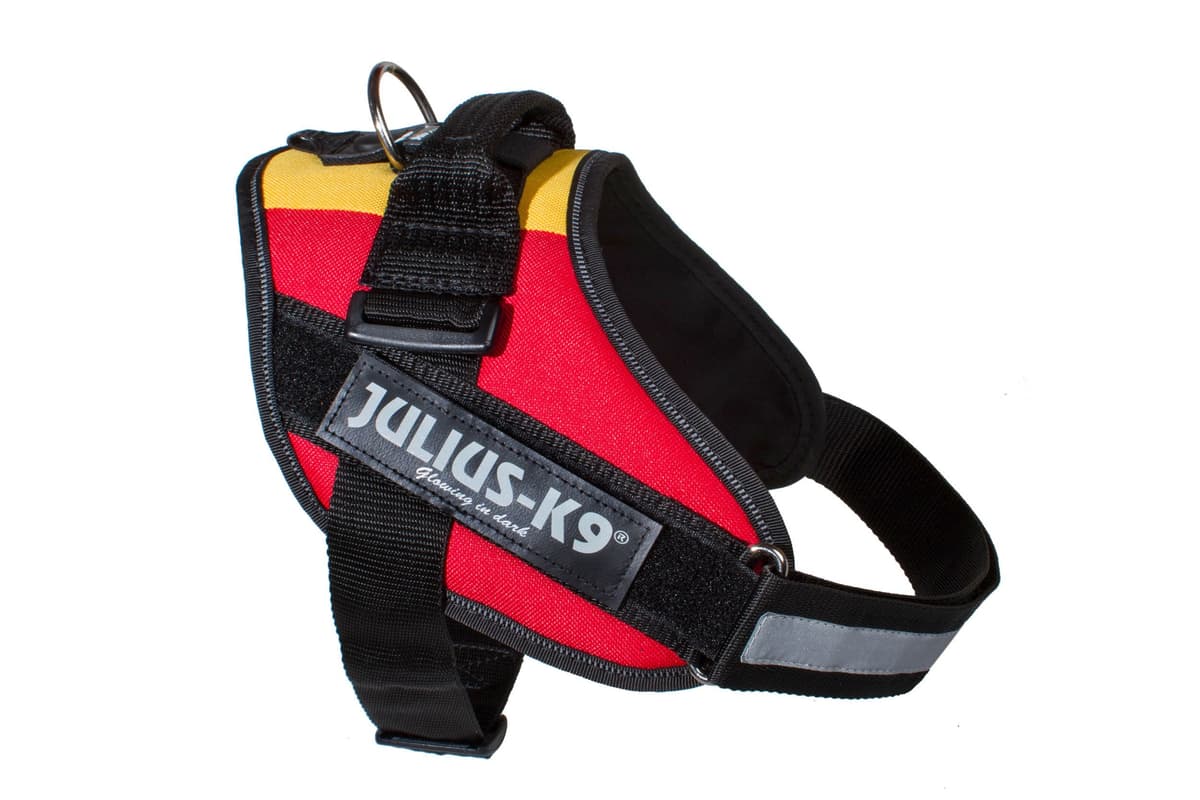 Julius-K9, 16IDC-AM-M, IDC Powerharness, dog harness, Size: Mini, Aquamarine — view 263