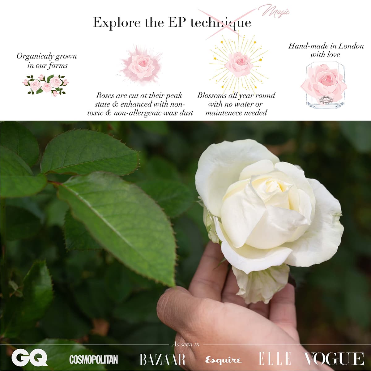 A 100% Real Rose That Lasts Years - Eternal Petals, Handmade in UK – White Gold Solo with A Multicolor Crystal (Red) — view 4