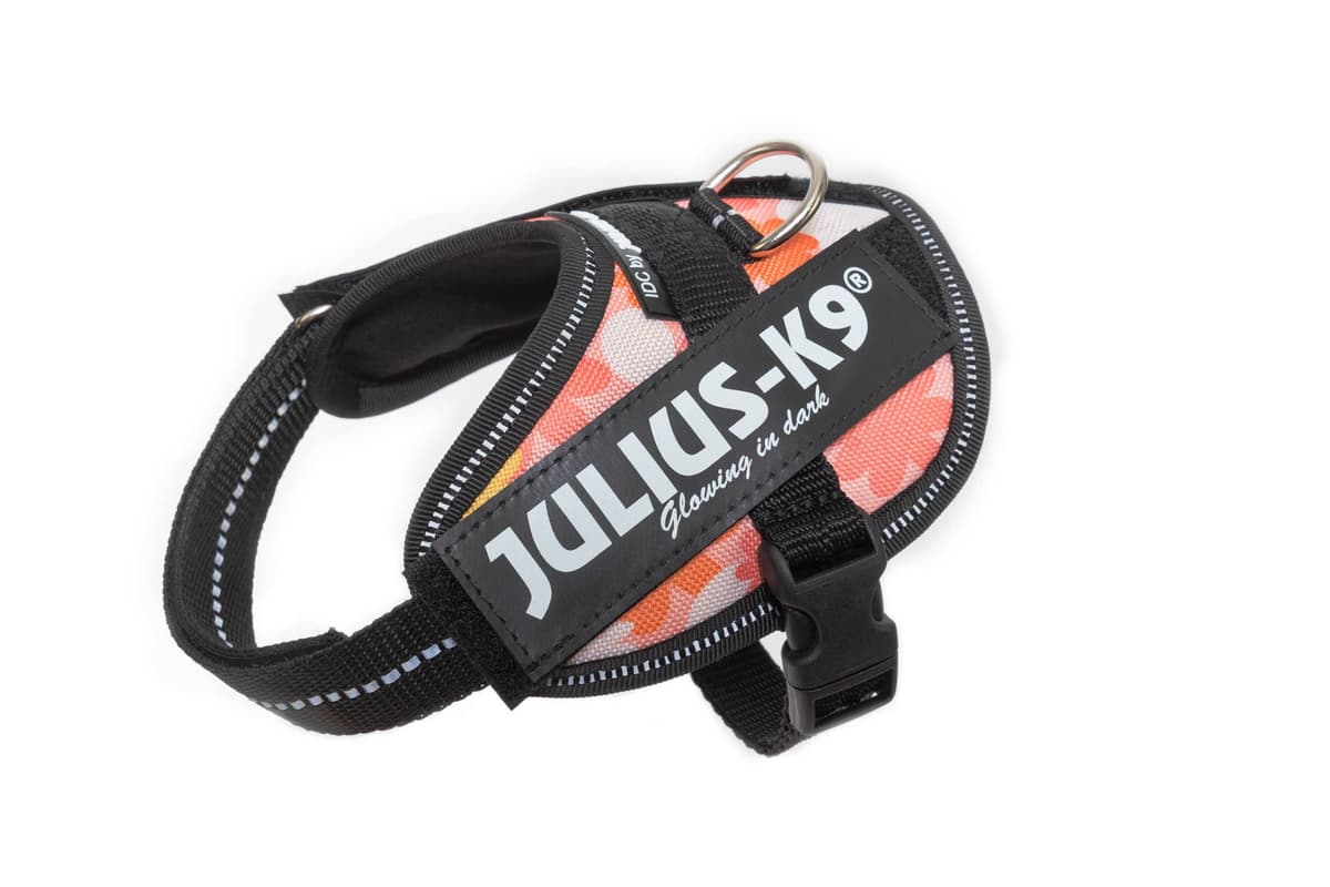 Julius-K9, 16IDC-AM-M, IDC Powerharness, dog harness, Size: Mini, Aquamarine — view 325