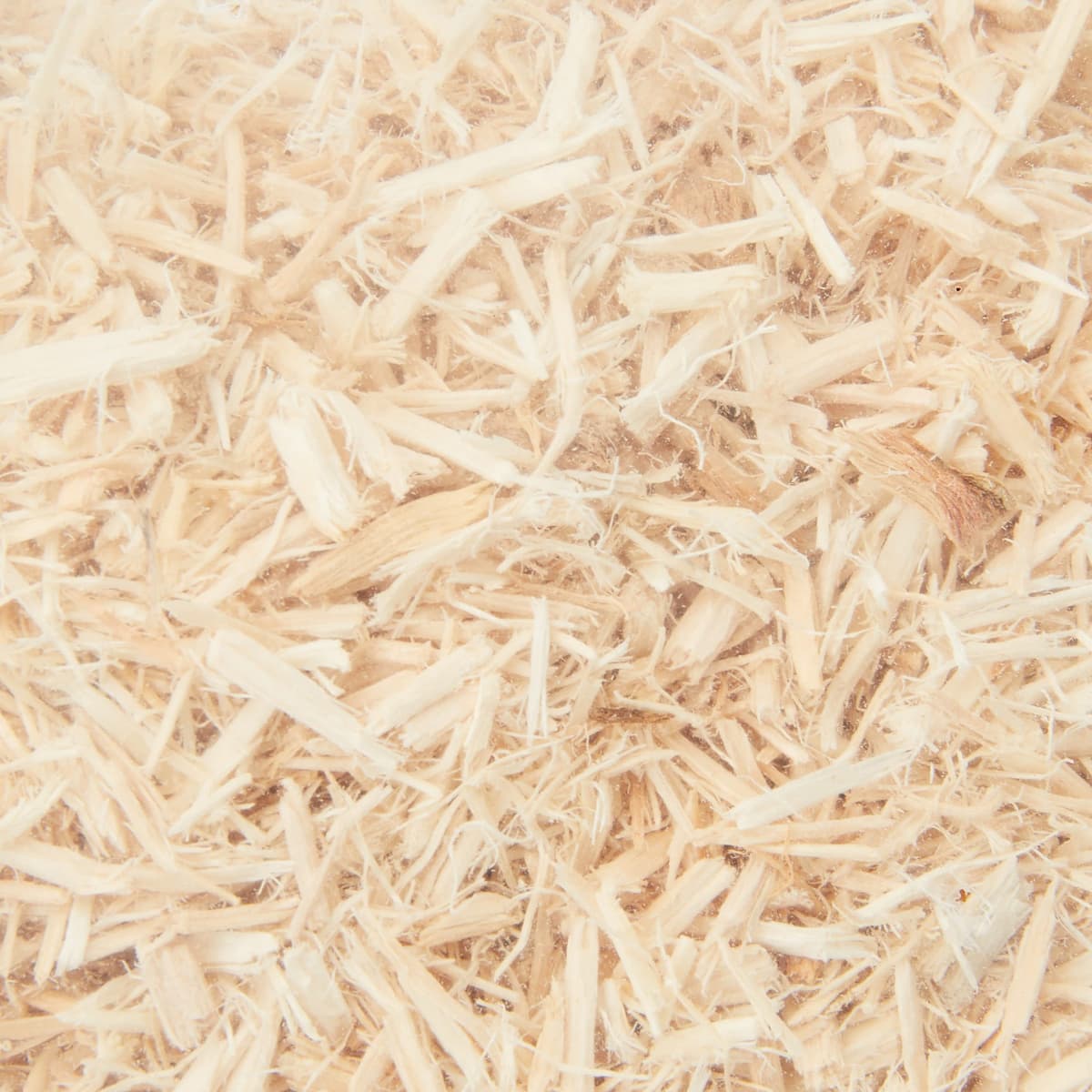 Komodo Aspen Bed Terrain, 12 Litre — view 2