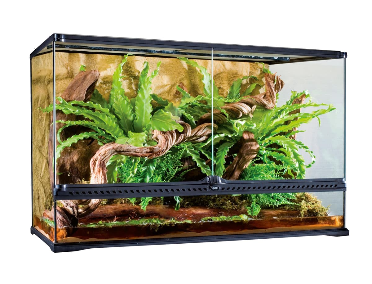 Exo Terra Terrario de cristal, con ventilación frontal única, 60 x 45 x 30 cm — view 4