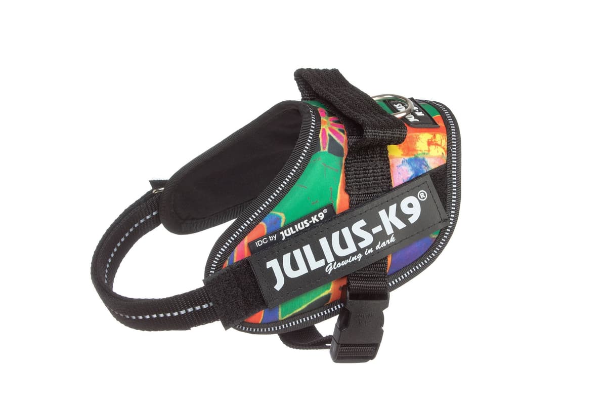 Julius-K9, 16IDC-AM-M, IDC Powerharness, dog harness, Size: Mini, Aquamarine — view 438
