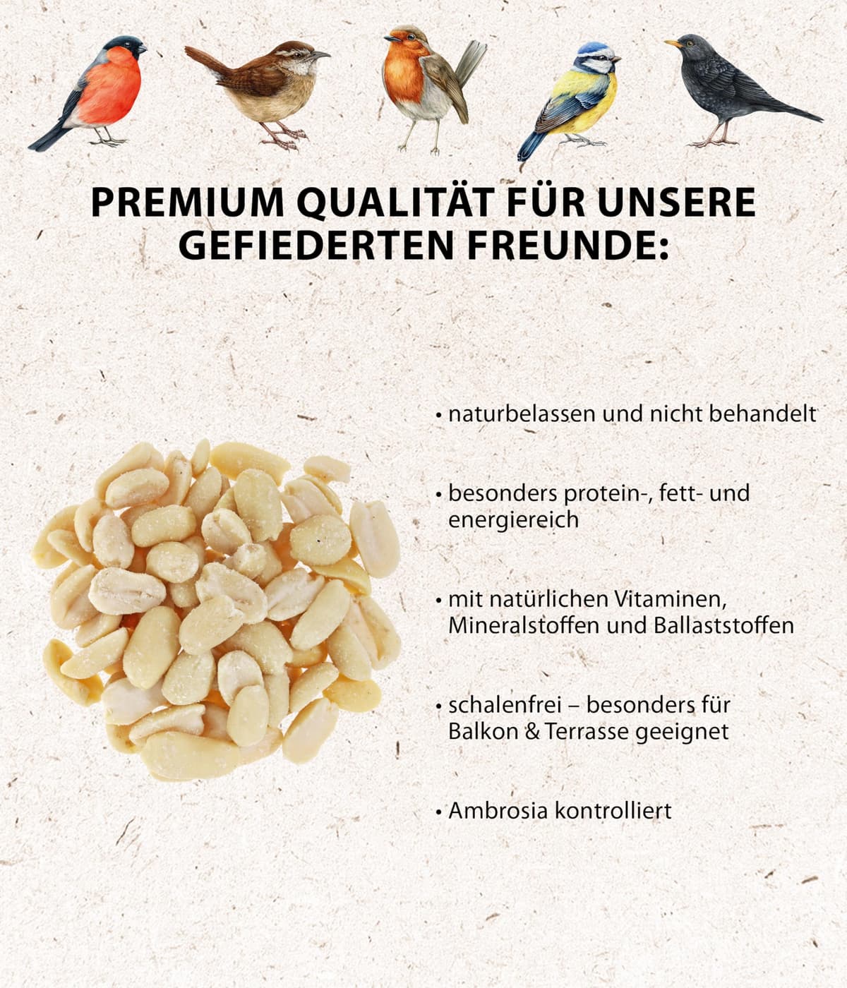 Dehner Natura Premium - Comida para Aves Silvestres (Cacahuetes Enteros, sin cáscara, para Todo el año, Rico en proteínas, Alta energía, 5 kg) — view 2