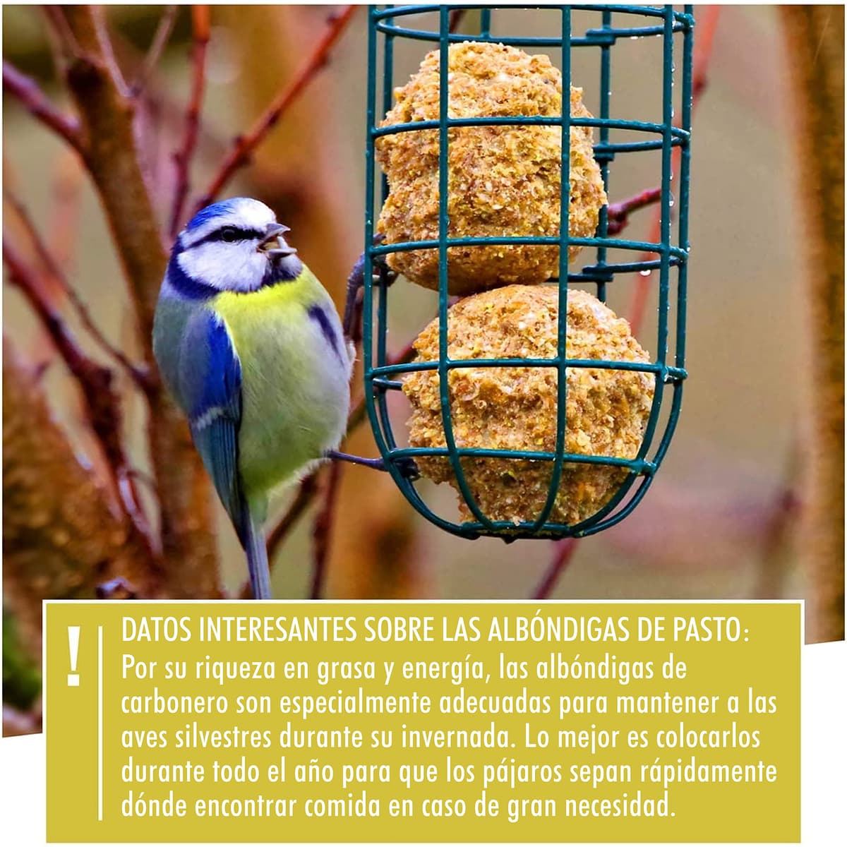 Wildtier Herz Soporte de Comida para Aves Silvestres, Comedero para pájaros, Soporte para Bolas de Grasa, 31cm de Acero Inoxidable Alemana, Color Plateado — view 4