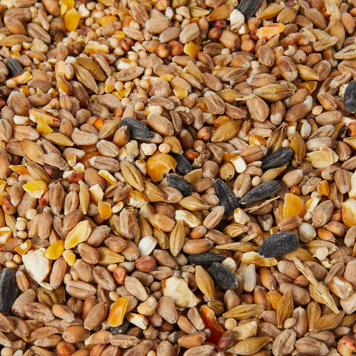Extra Select Seed Mix Wild Bird Food, 5 Litre (Package may vary) — view 3