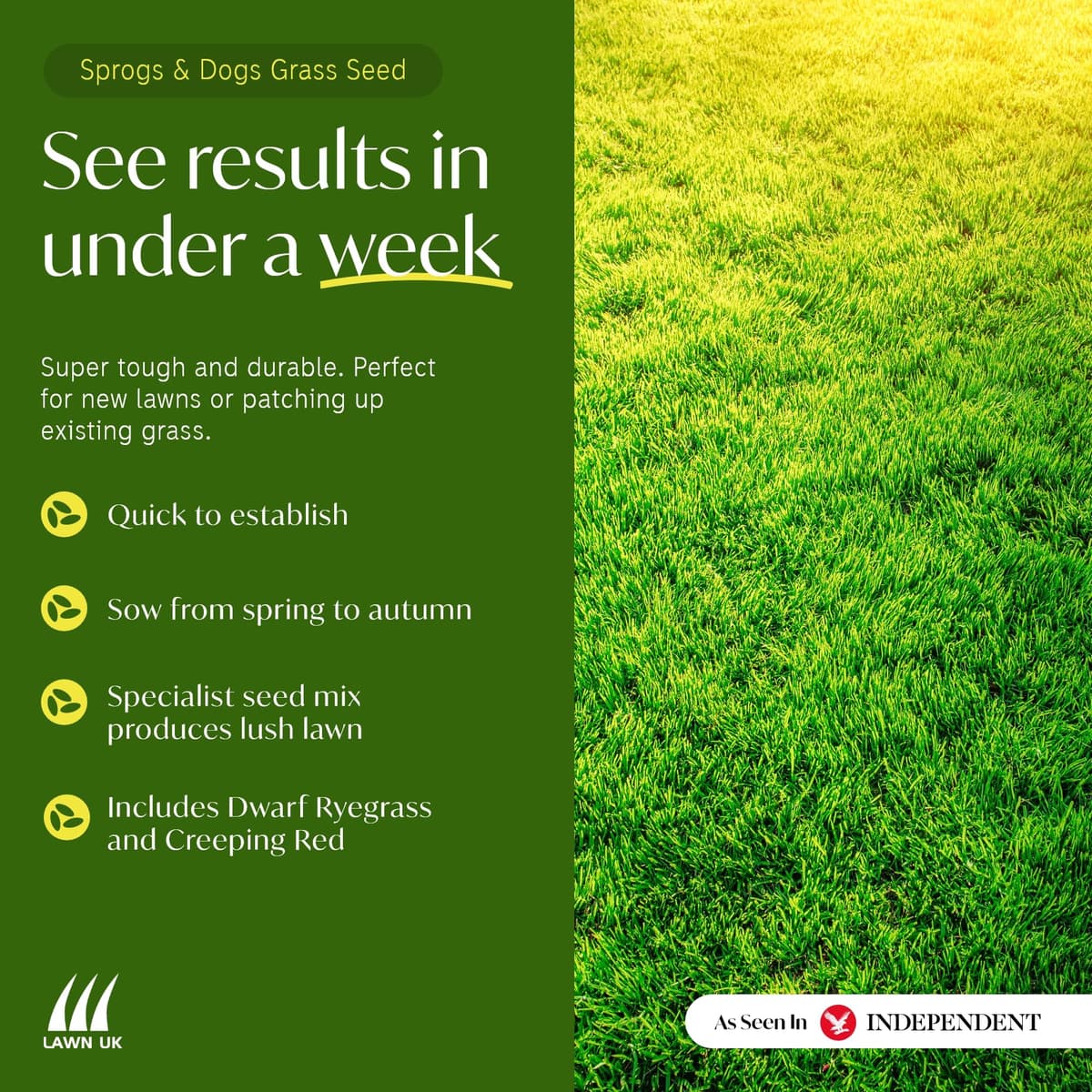 Lawn UK Hardwearing Grass Seed - Sprogs & Dogs Grass Seeds Fast Growing - 1kg up to 30sqm Coverage - Ideal for Family Lawns - Super Durable Perfect for Children & Pets — view 3