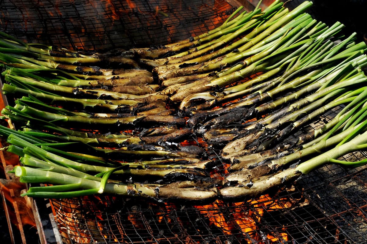 2x20L Sarmiento de Vid Trozeado. Ideal Barbacoas, Arroces, Paellas, Calçots o Chuletitas de Cordero. Hecho en España. Leña de Endendido Rápido. 100% Natural sin aditivos — view 4