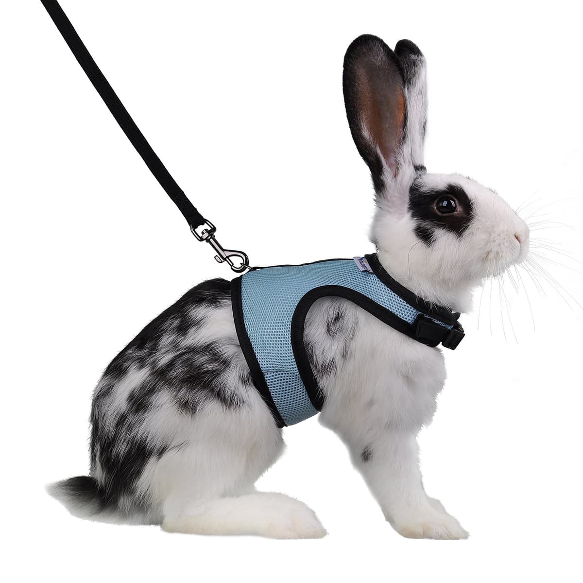 Niteangel Adjustable Soft Harness with Elastic Leash for Rabbits (XL, Purple) — view 11