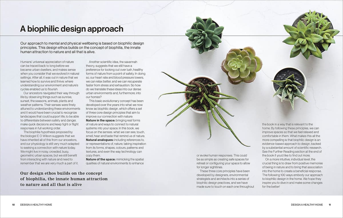 Design A Healthy Home: 100 ways to transform your space for physical and mental wellbeing — view 4