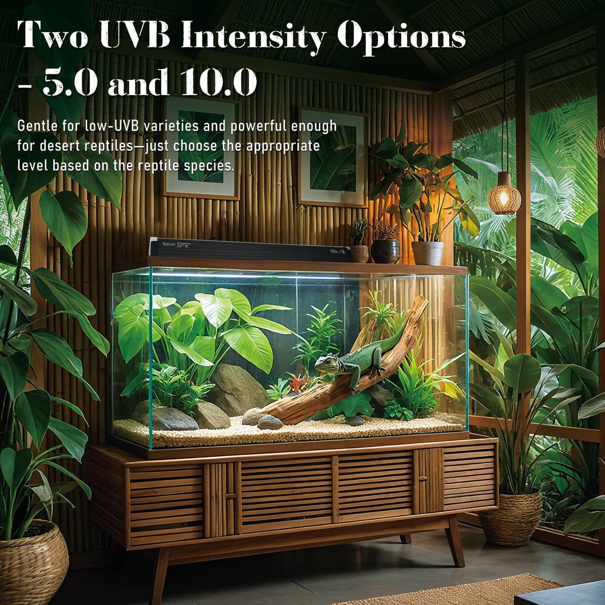 8W Reptile T5 HO UVB 12.5" 10.0 Light Fixture with Tube, Mid-Range UVB Hood for Terrariums, Suitable for Desert Reptiles Like Juvenile Bearded Dragon — view 2