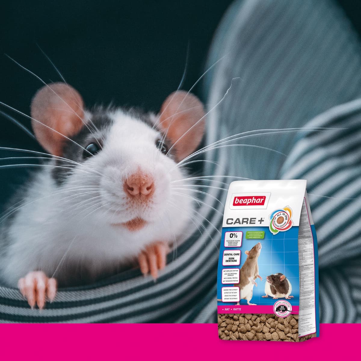 Beaphar - Care+ Pienso Super Premium - Comida para Rata - 1,5kg - Alto Valor energético - Buena digestión - Desgaste de los Dientes y Sin azúcares añadidos- Alimentación Extrusionada — view 2