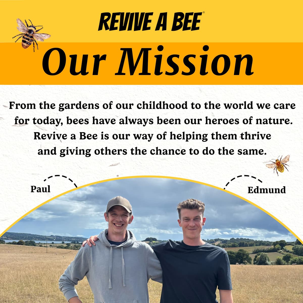 Bee Revival Kit for Saving Tired Bees – Bee Rescue Keyring Gift for Women – Eco-Friendly Plantable Seed Paper Packaging – Rose Gold, Green, Blue, Red, Black, Gold & Silver — view 8