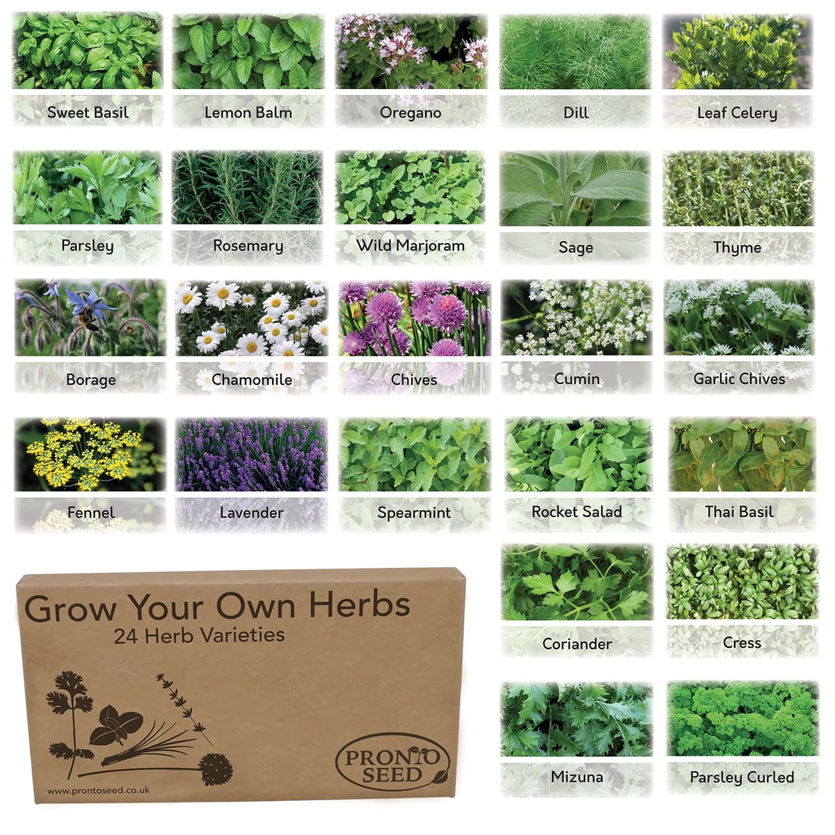Pronto Seed Grow Your Own Vegetable & Herb Kit – 21 Varieties, 1700+ Seeds for Planting UK – Salad, Spicy, Peas & Beans Mix – Gardening Gifts for Men & Women with Growing Guide — view 10