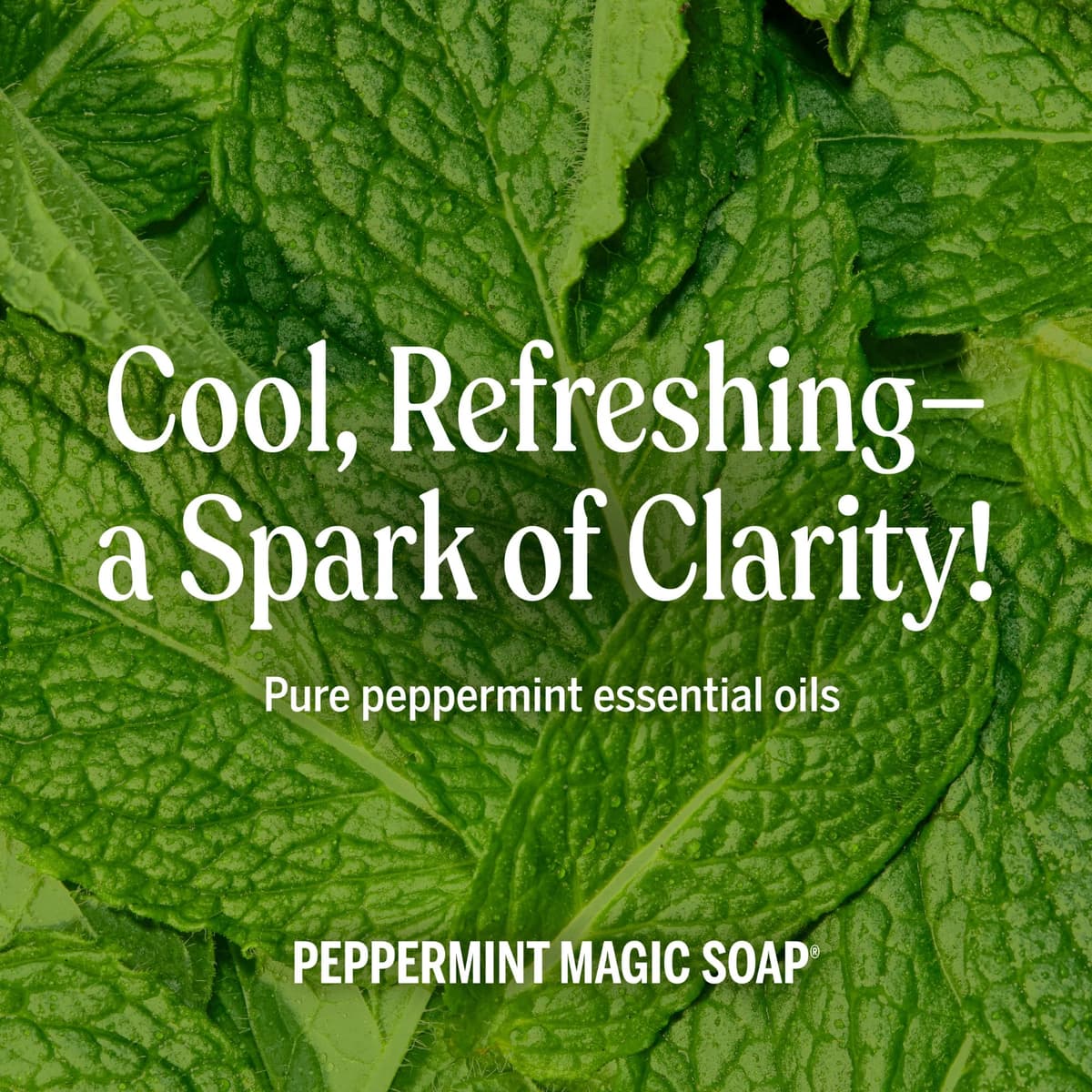 Dr Bronner's 18-in-1 Peppermint Pure-Castile Liquid Soap, Made with Organic Oils, Used for Face, Body, Hair, Laundry, Pets and Dishes, Certified Fair Trade & Vegan Friendly, 473ml Recycled Bottle — view 5