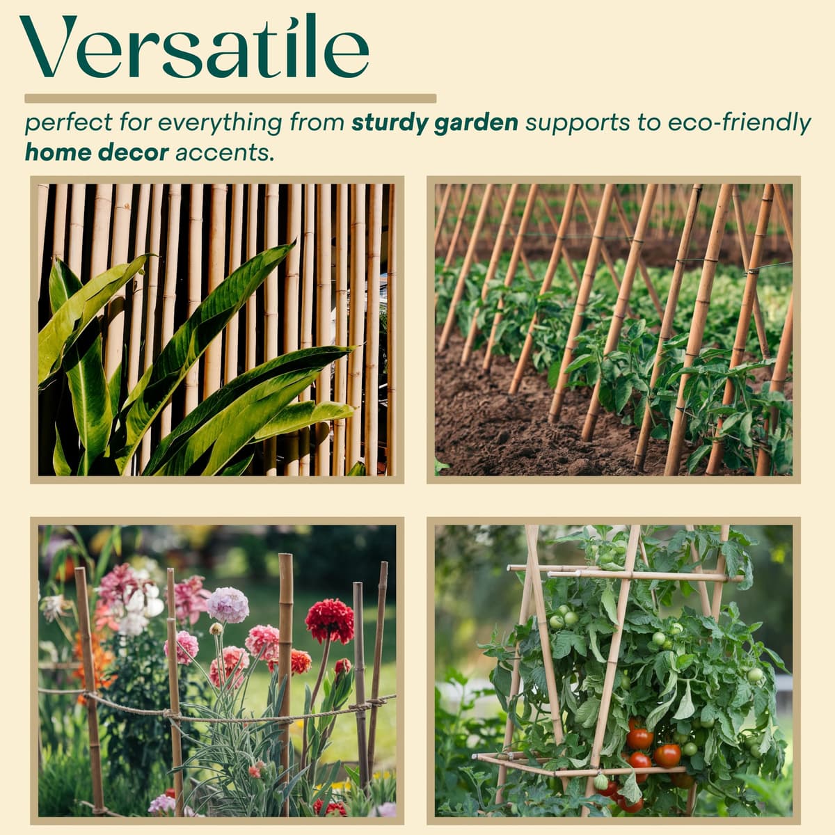 Gardens 2Ft,3Ft,4Ft,5Ft,6Ft,7Ft,8FT,10Ft Strong Heavy Duty Professional Bamboo Plant Support Garden Canes (10, 3ft, 12-14 mm) — view 4