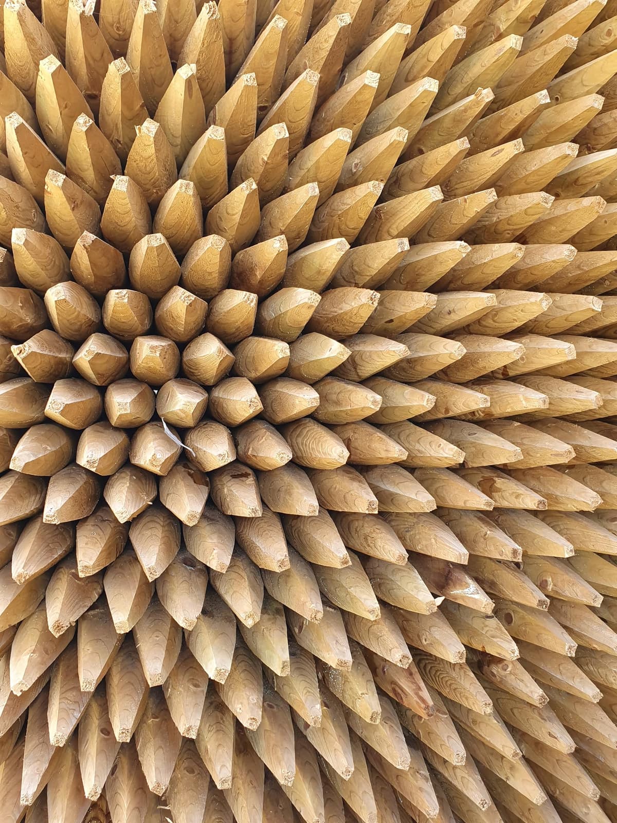 Suregreen Premium Round Wooden Stakes 1.2m x 50mm – Pack of 10 Pressure-Treated Softwood Posts for Durable Garden Fencing, Tree Support & Landscaping Projects — view 2