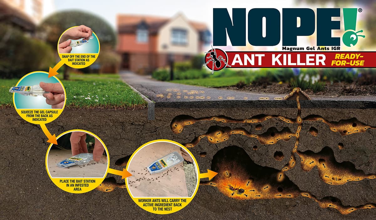 NOPE! Ant Killer Bait Station (6 x 5g) Indoor & Outdoor Ant Traps. Eradicates Ants and their Colony & Nest — view 5