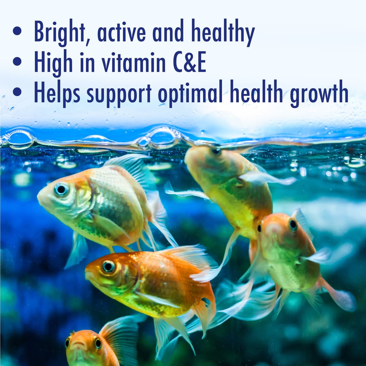 AQUARIAN Complete Nutrition Goldfish Food Flakes, 25g — view 5