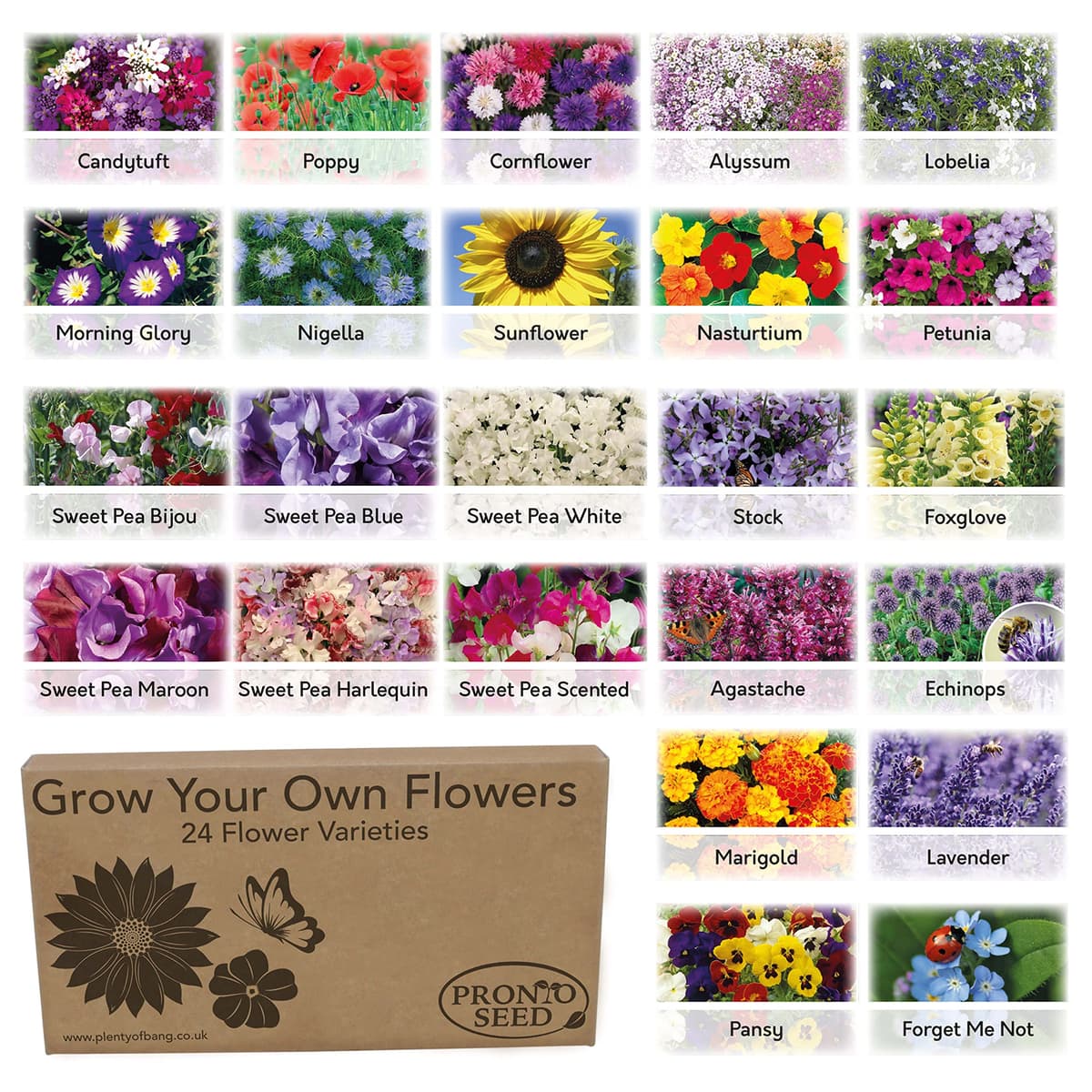 Pronto Seed Grow Your Own Vegetable & Herb Kit – 21 Varieties, 1700+ Seeds for Planting UK – Salad, Spicy, Peas & Beans Mix – Gardening Gifts for Men & Women with Growing Guide — view 12