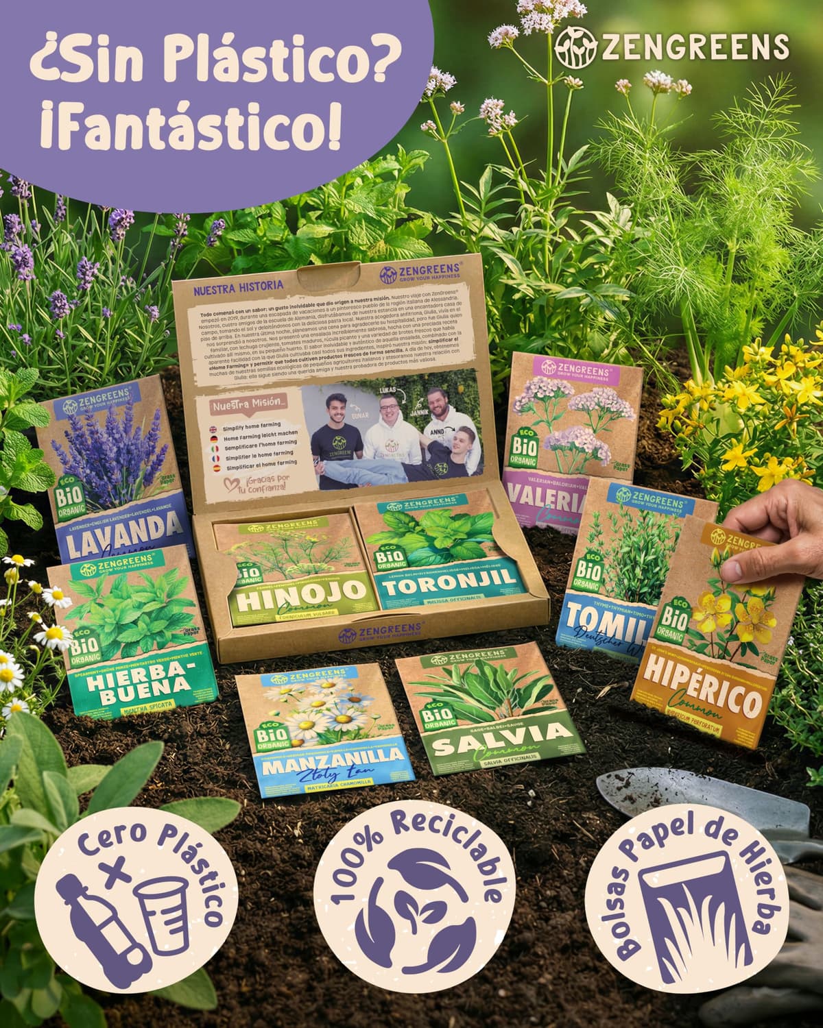 ZenGreens® - Set de semillas de hierbas medicinales y para infusiones eco - 10 variedades para cultivar fácilmente en el jardín, balcón o parterre elevado - Sementes verduras — view 4