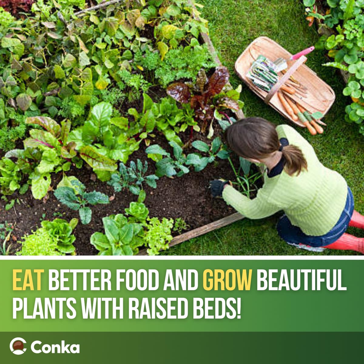 Conka Garden - Wooden Raised Bed Kit - Large Garden Planters for Vegetables, Herbs, Flowers – Start Growing Plants Earlier & Better - Durable & Resistant FSC Treated Timber 120cm L x 240cm W x 30cm H — view 2