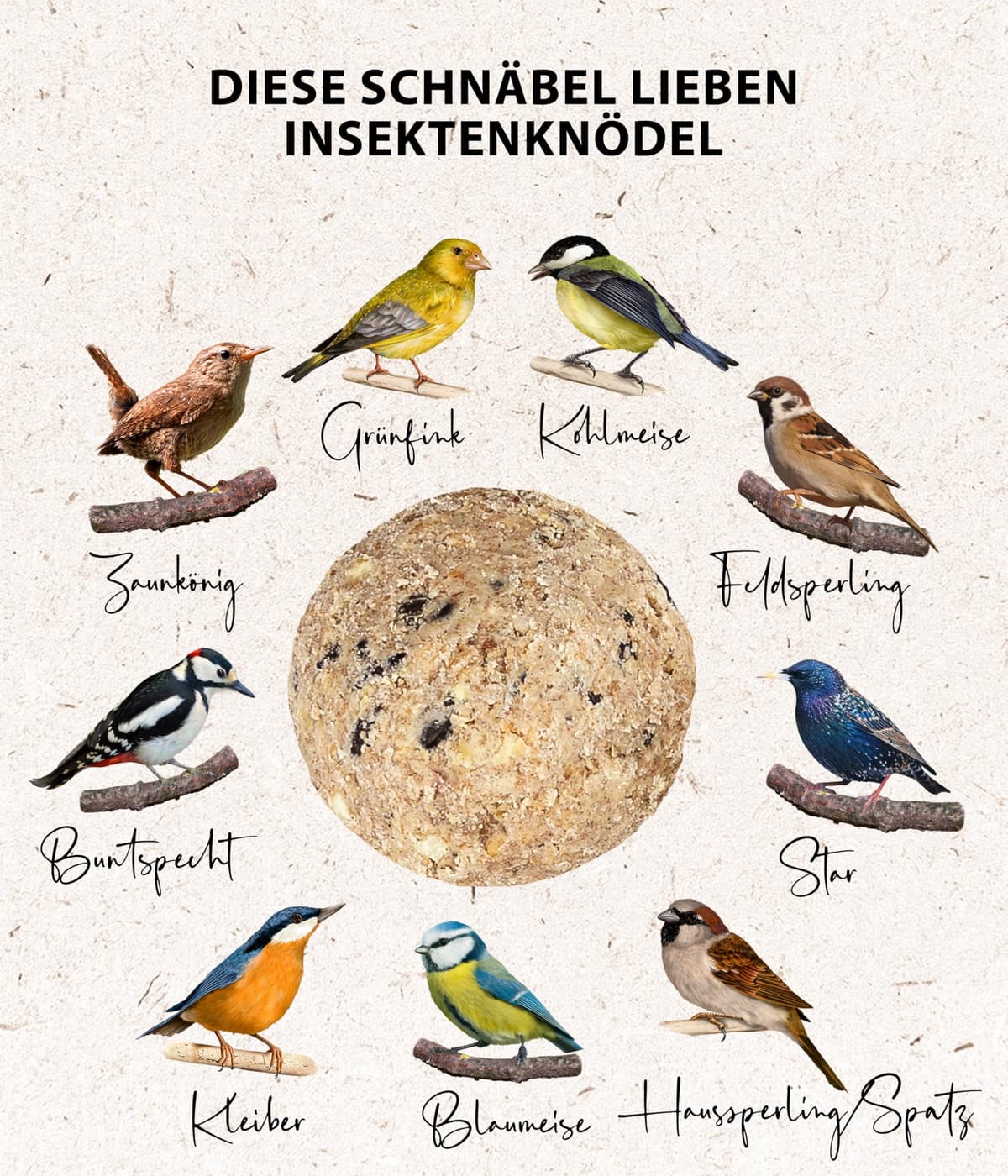 Dehner Natura Premium - Bola de Masa para carbonero con Red, Bolas de Insectos, alimento para Aves Silvestres Durante Todo el año, Rico en proteínas, Alto en energía, 30 Unidades de 90 g (2,7 kg), — view 5