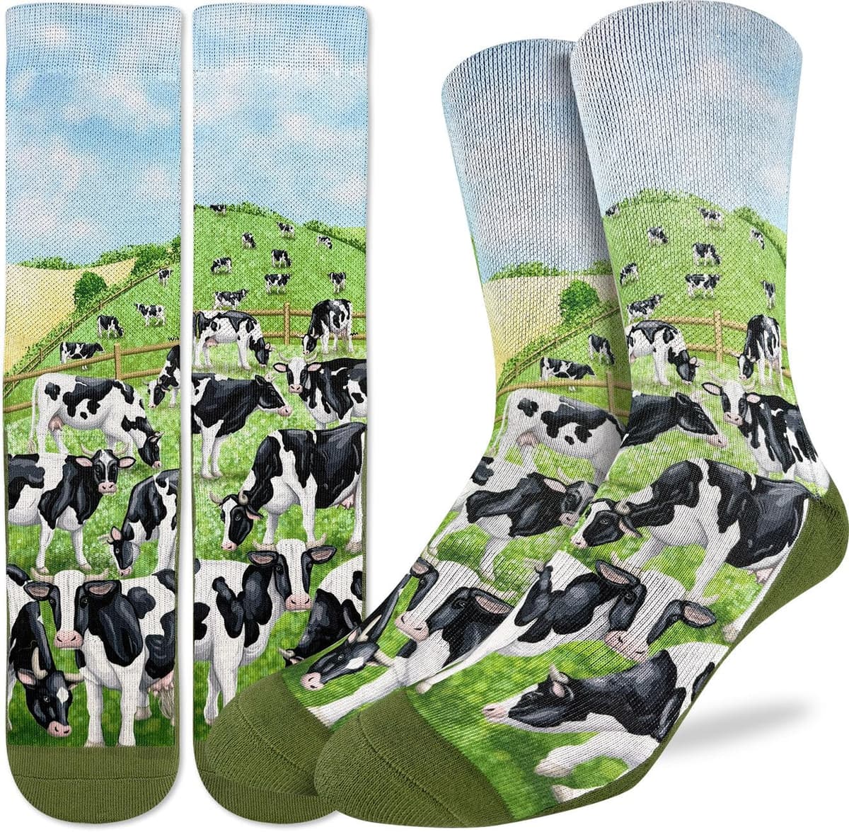 Good Luck Sock Women's Floral Dinosaurs Socks, Shoe Size 5-9 — view 209
