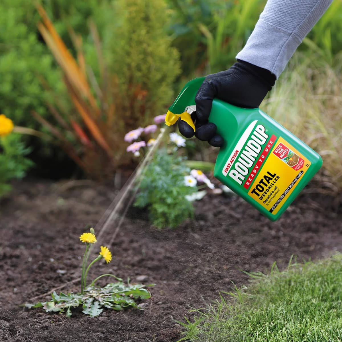 Roundup Total Fast Action Weed Killer, 1 Litre — view 2