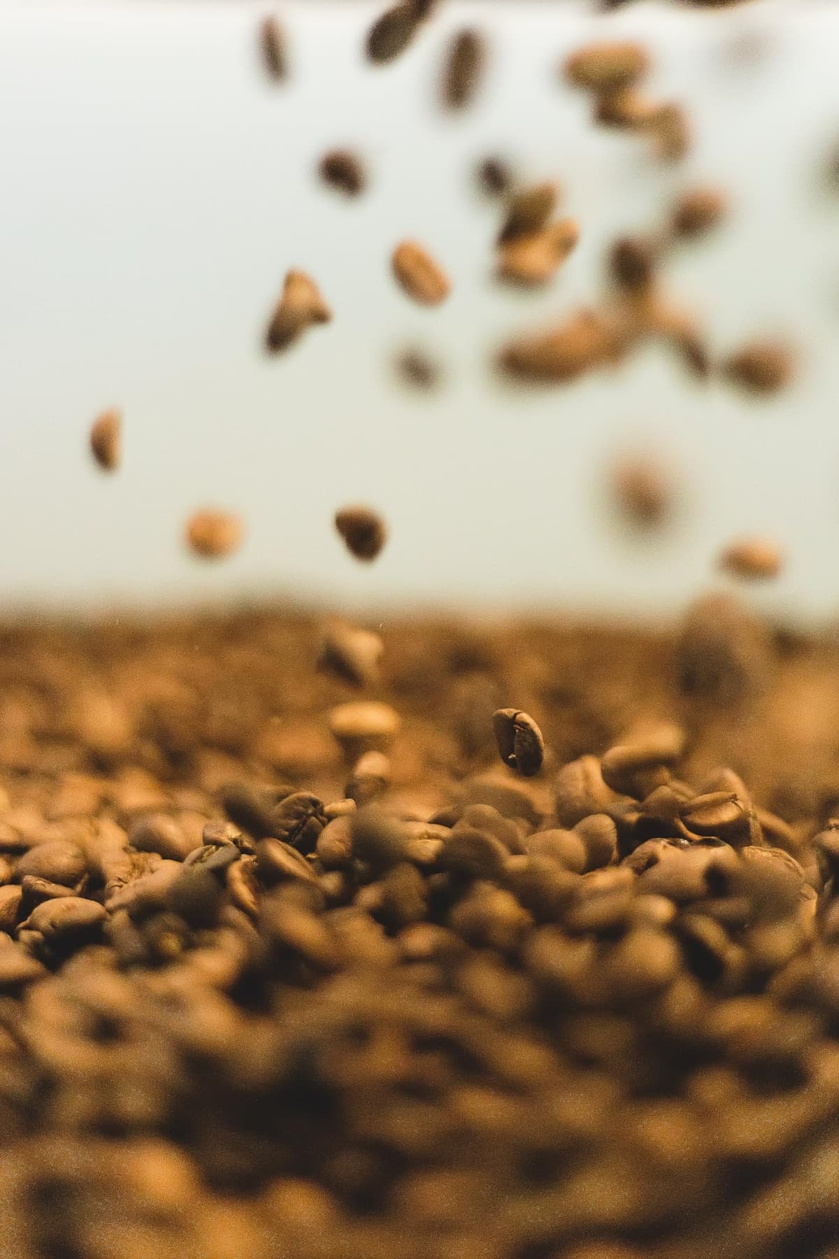 Delta Cafés Lote Superior - Café en Grano - Cuerpo y Sabor Duradero - Sutil Acidez y Aroma Energético - 1 Kg — view 3