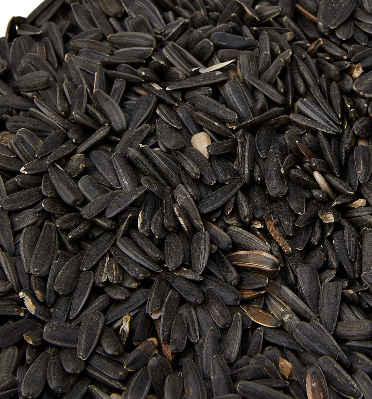 Extra Select Black Sunflower Seed Wild Bird Food, 5 Litre Tub — view 4