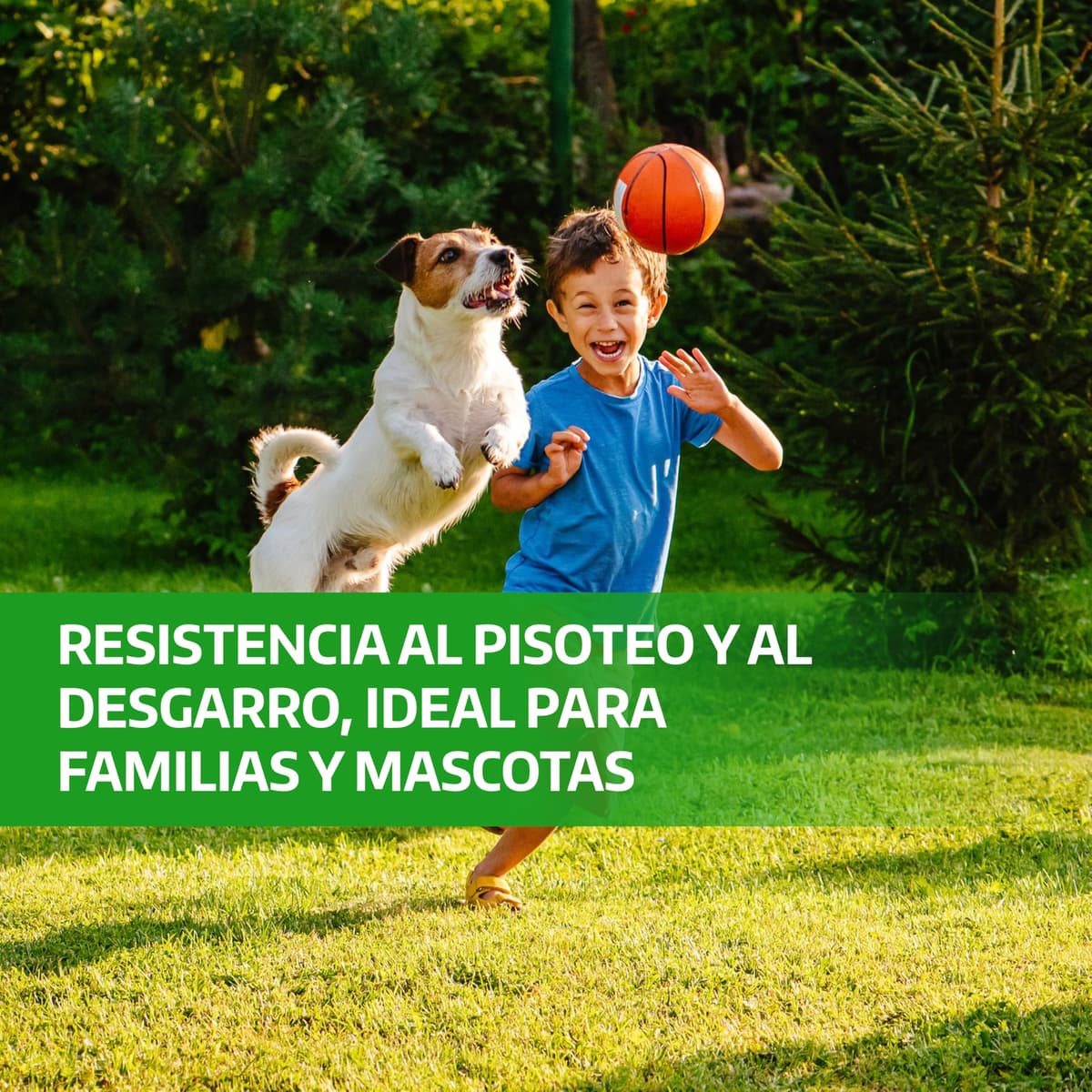 LERAVA Semillas césped grama gruesa (200 g) - Para 20 m² - Césped pisable y resistente a la sequía - Ideal para zonas mediterráneas y cálidas - Consume hasta un 20% menos de agua — view 3