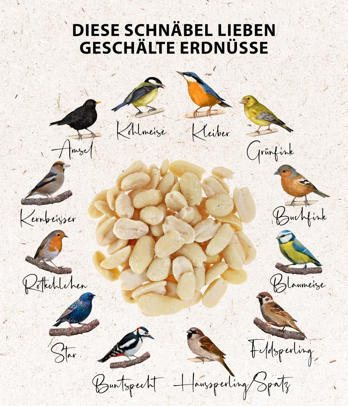 Dehner Natura Premium - Comida para Aves Silvestres (Cacahuetes Enteros, sin cáscara, para Todo el año, Rico en proteínas, Alta energía, 5 kg) — view 4