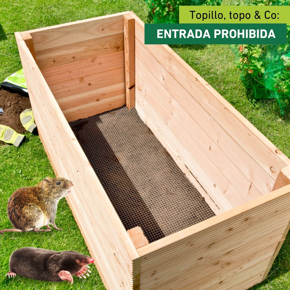 Windhager Rejillas para topillos en Camas elevadas, Barrera Molar, Rejilla de protección para Camas elevadas, 2.1 x 1.1 m, Color Plata, 79013 — view 2