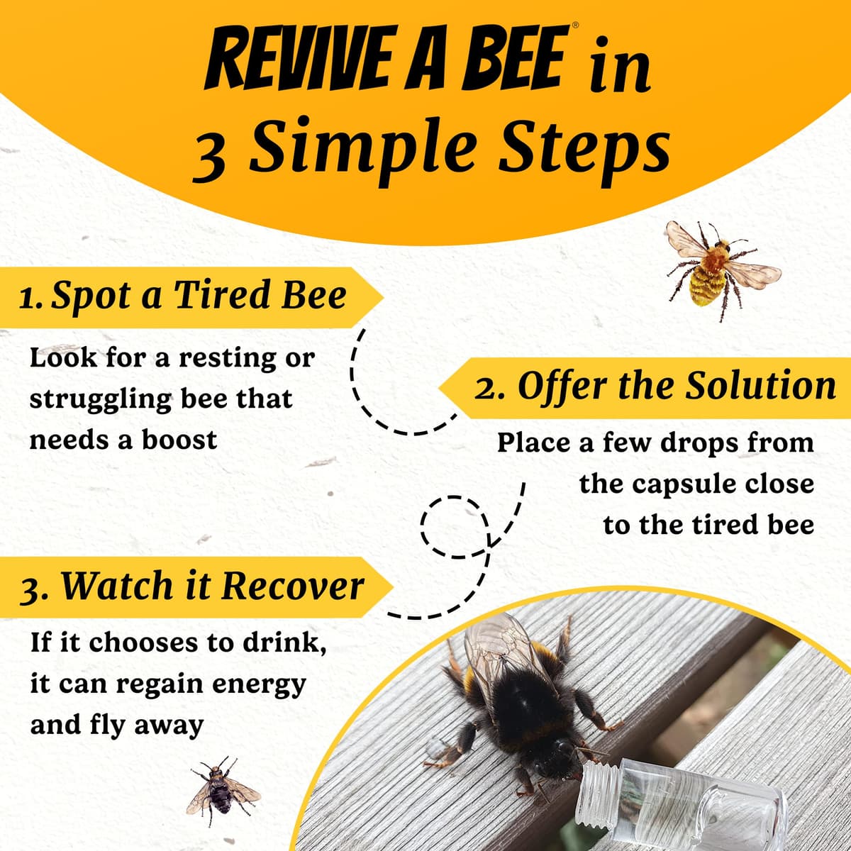 Revive a Bee Gift Box 1 x Bee Revival Kit Keyrings 1x Refill Bottle & Plantable Seed Paper — view 4